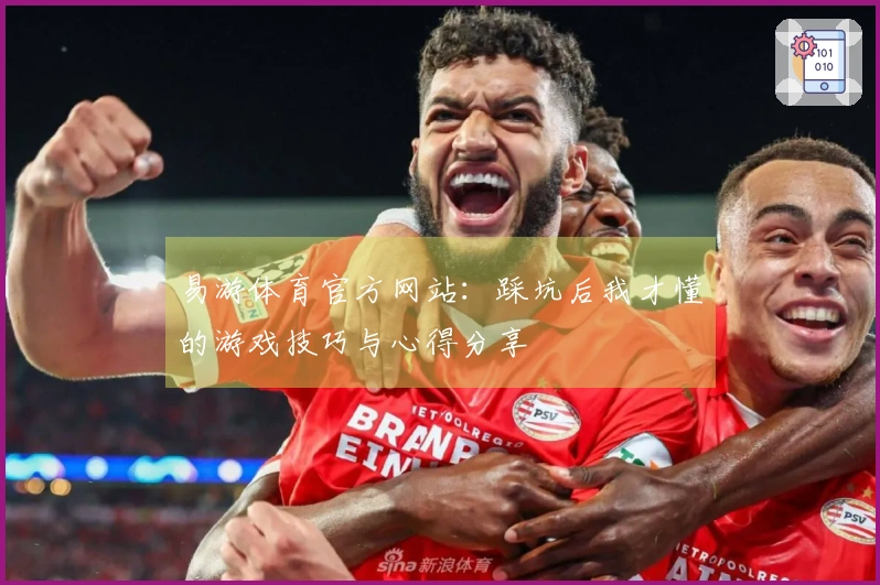 易游体育官方网站：踩坑后我才懂的游戏技巧与心得分享