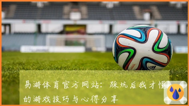 易游体育官方网站：踩坑后我才懂的游戏技巧与心得分享